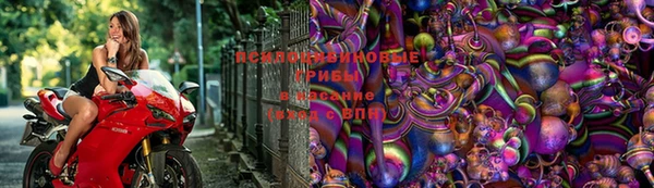 шишки Алексеевка