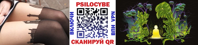 купить наркотик  Шелехов  Псилоцибиновые грибы Psilocybe 